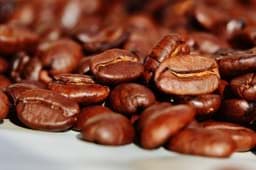 Zeige Produkte für Kategorie Kaffee Bild für Kategorie Kaffee